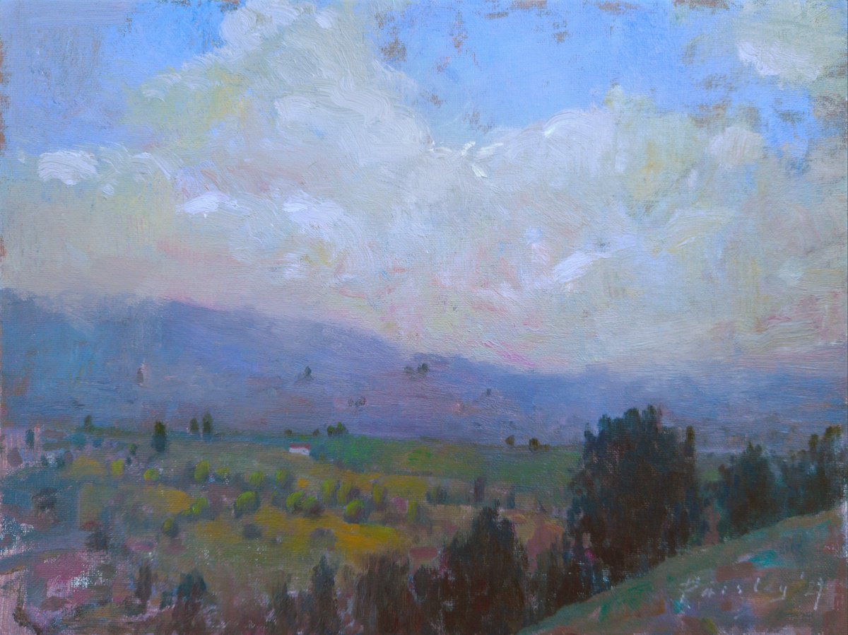 Impressionistic Landscape Oil Painting By Ayna Paisley, 12 X 9, Primaveral, Original Artwork