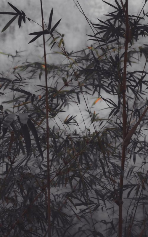 The power of simplicity II by Viet Ha Tran