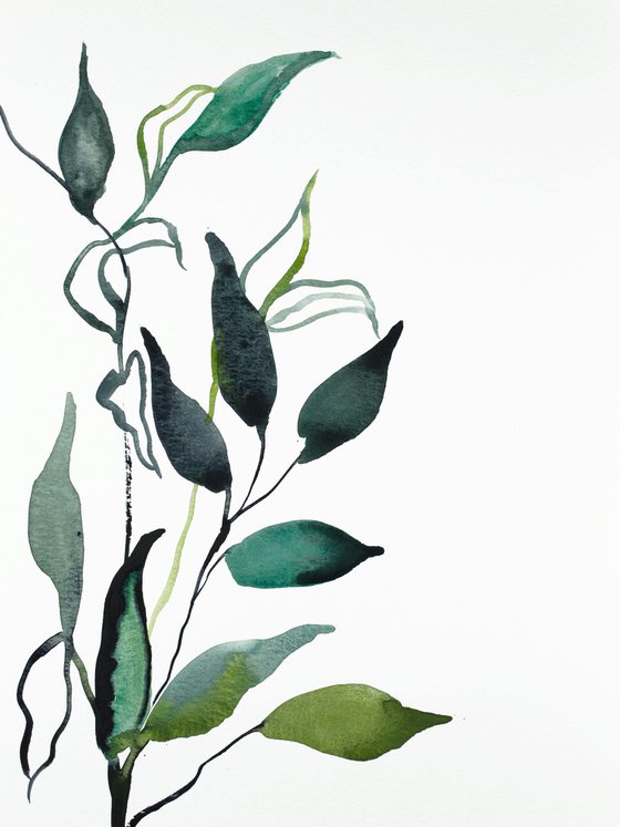 Plant Study No. 91