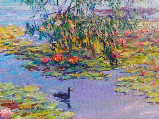 Nymphaeums are enveloped in the sun.