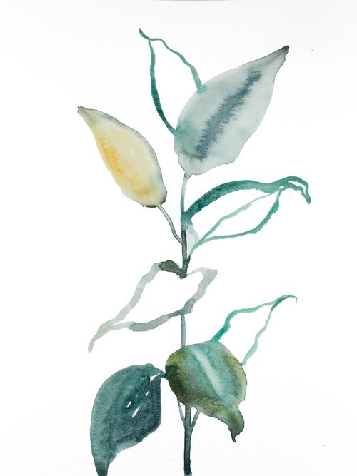 Plant Study No. 85 by Elizabeth Becker