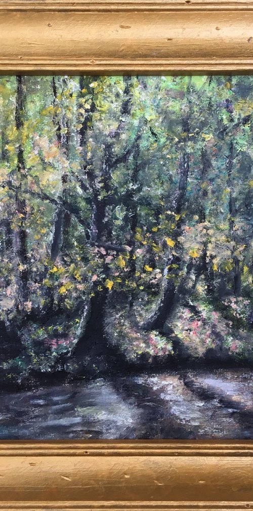 CREEK BANK by Kathleen McDermott