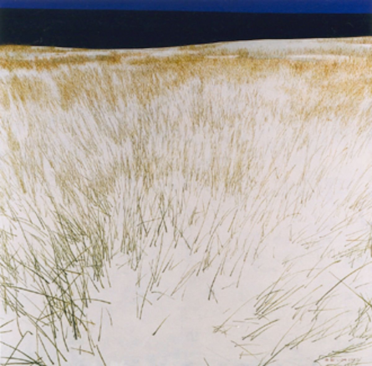 Landscape Oil Painting By Zhi Li, 39 X 39", Xiajiahe Seaside, Original Artwork