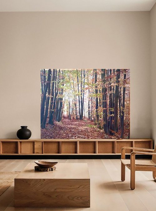 Fall in the beech wood by Ida Harm