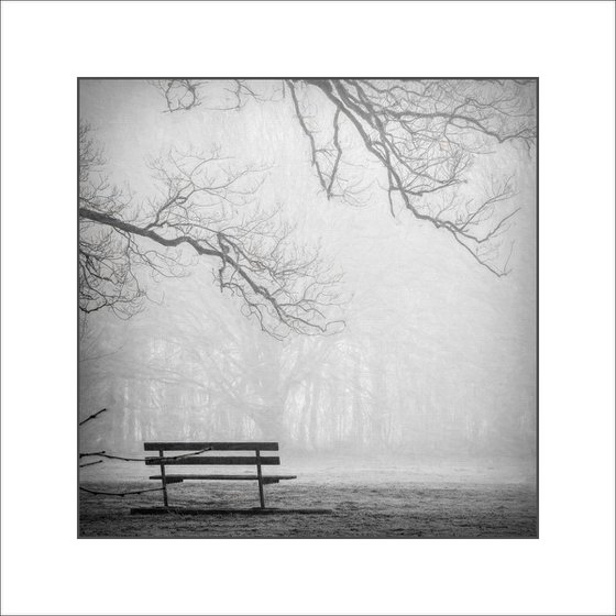 The Misty Bench...