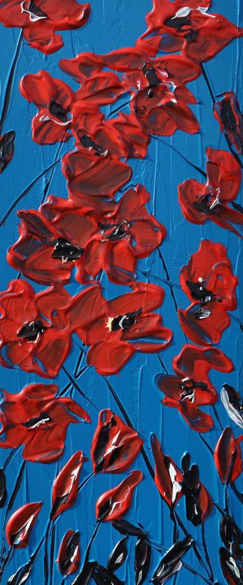 Poppy Delight by Daniel Urbaník
