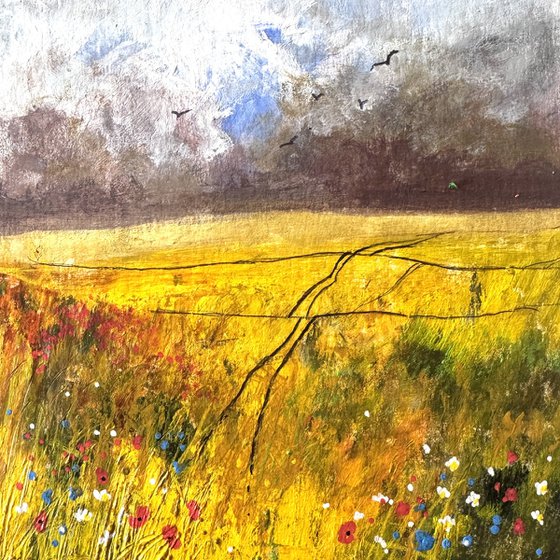 Cornfield