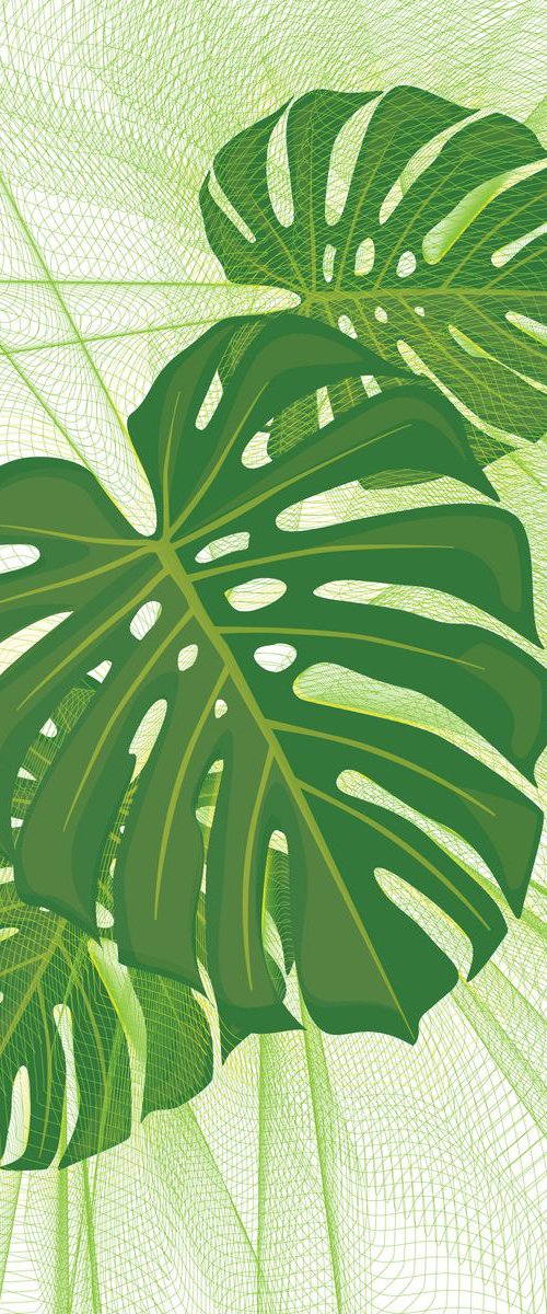 The Digital Monstera Deliciosa by David Gill