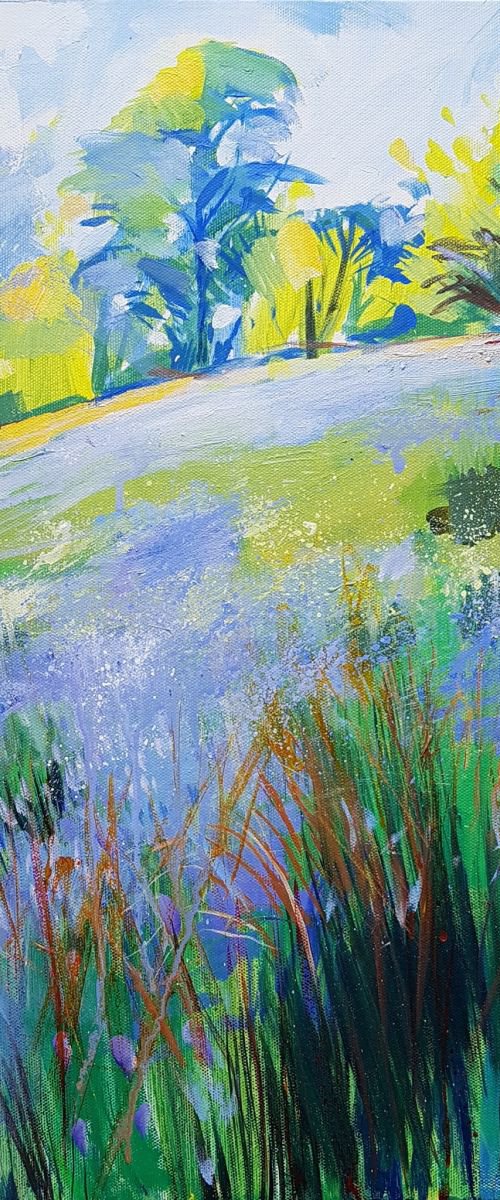 Bluebells and Blossom 2 by David Pott