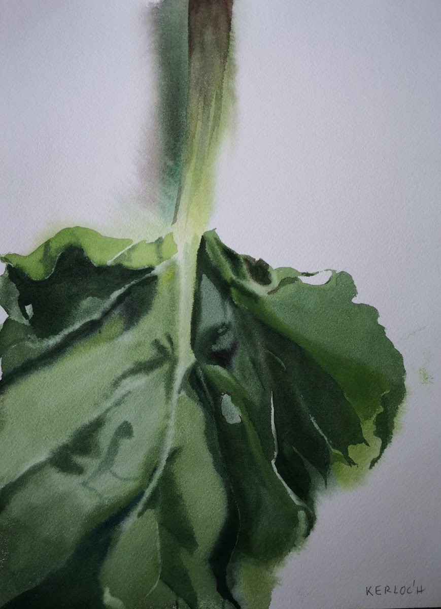 Expressive Botanical Watercolour By Anyck Alvarez Kerloch, 10 X 14, Leaf #3, Original Artwork
