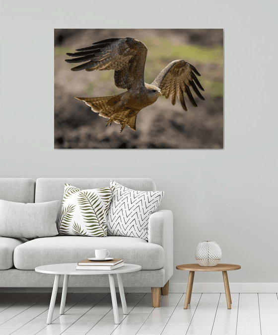 Flying Kite