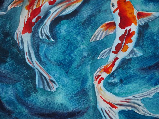 Koi fish
