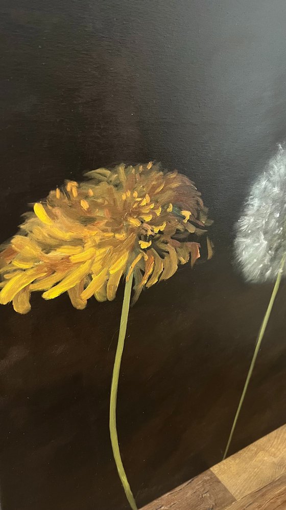 Dandelions