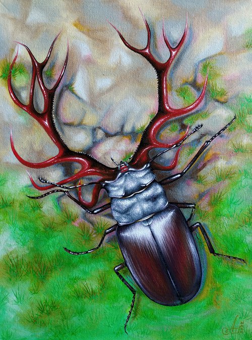 Deer or beetle by Anna Shabalova