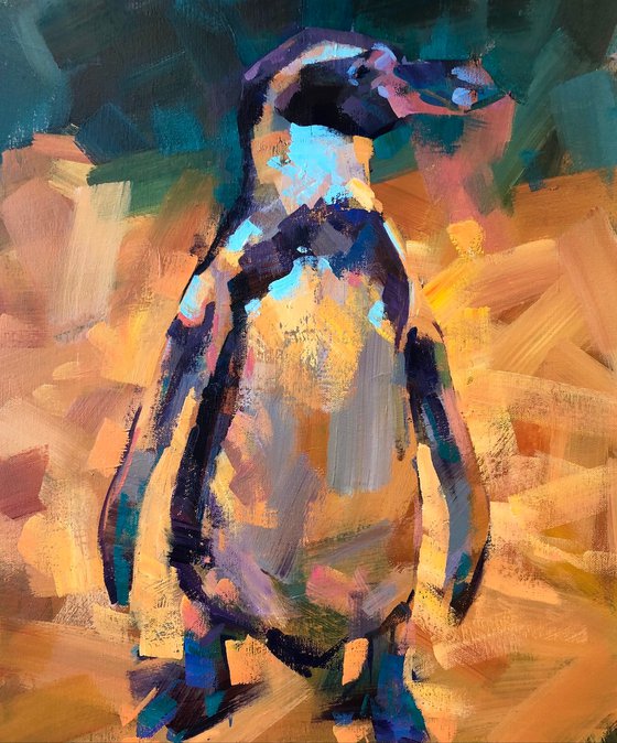 Humboldt Penguin