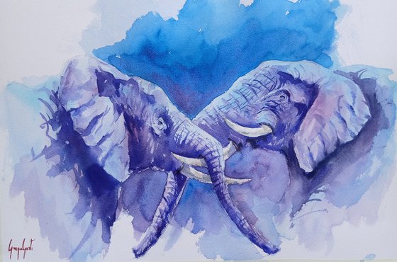 elephant 29