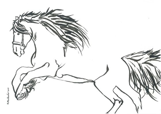 Horse I Animal Drawing