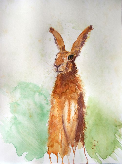 Rabbit I /  ORIGINAL PAINTING by Salana Art Gallery