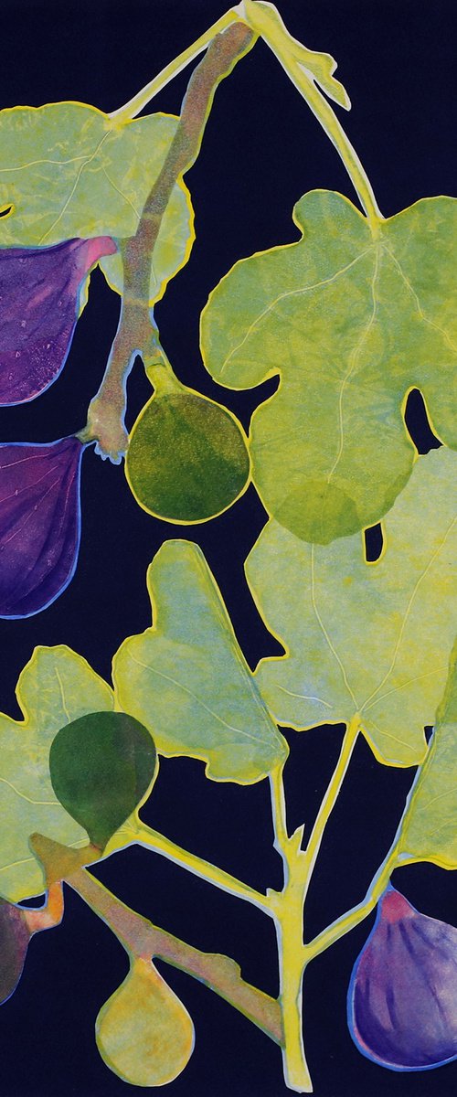 Nature’s Jewel by Helen Boden