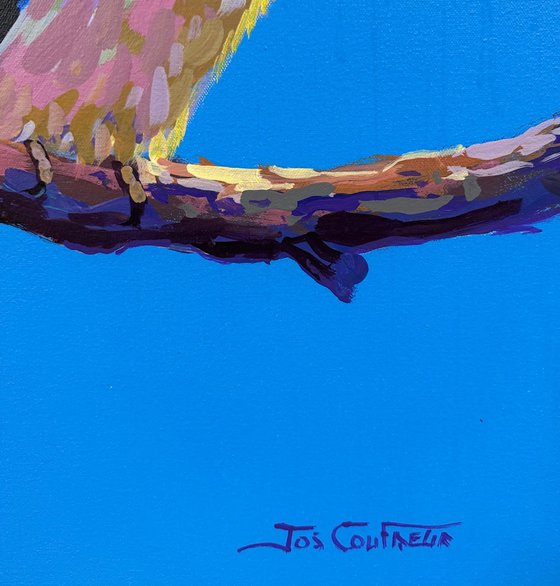 Three Kookaburras III