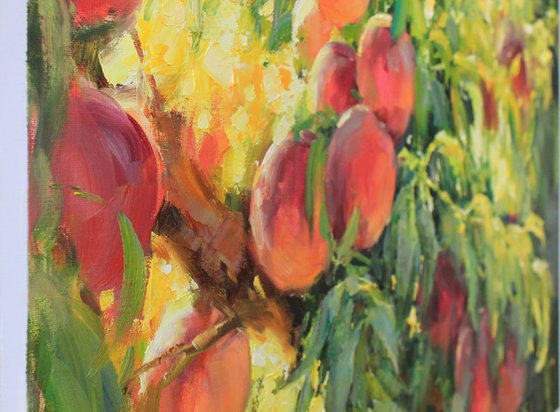Peaches on the tree