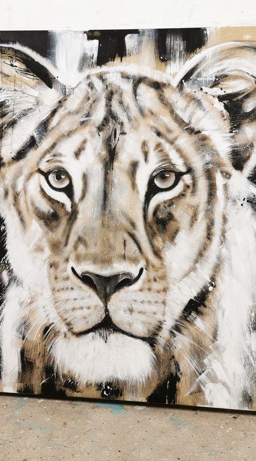 Big Cat - Lioness #9 - Series One of the big five by Stefanie Rogge