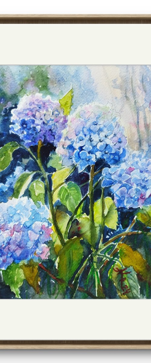 Hydrangeas flowers by Ann Krasikova