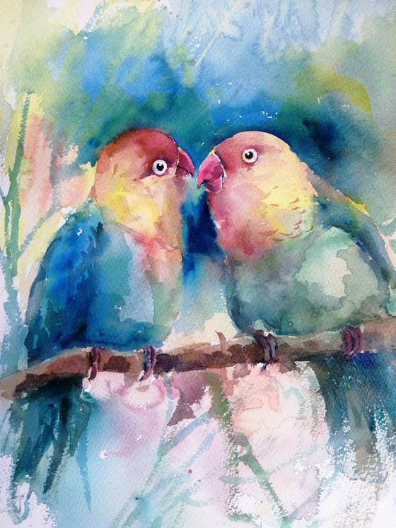 Lovebirds
