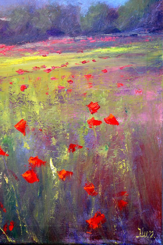 Landscape with poppy field