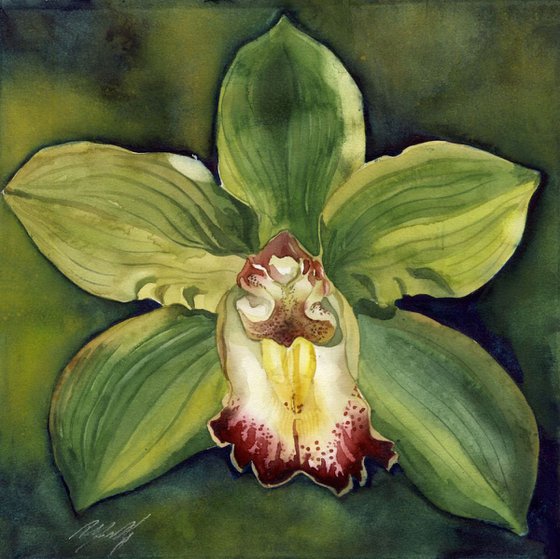 orchid in green