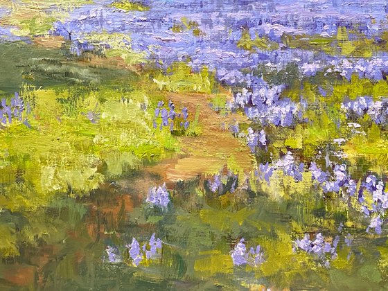 Spring Meadow With Lupine Flowers