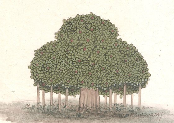 Banyan Tree | Indian Miniature