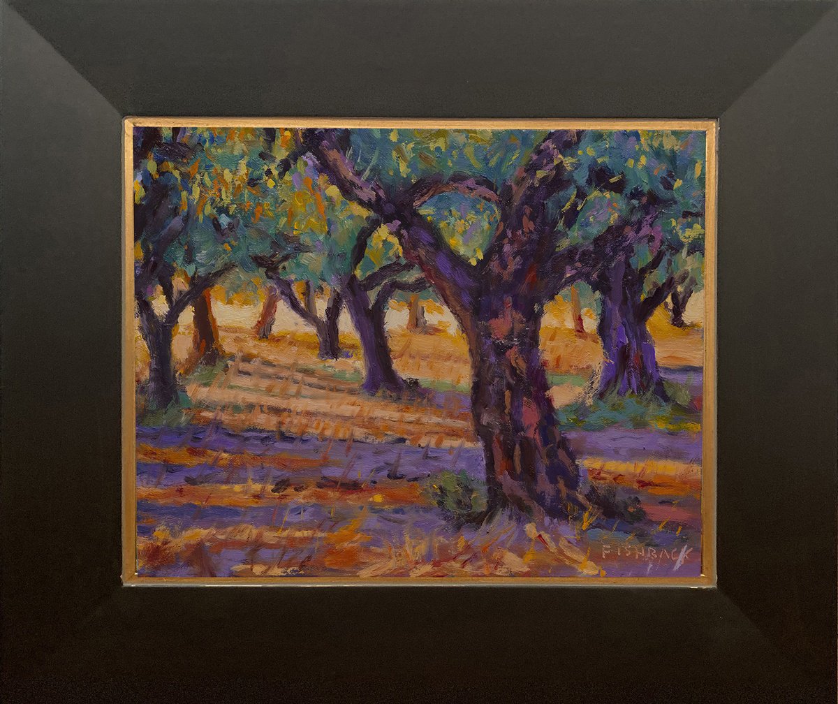 Olive Tree Grove by Daniel Fishback