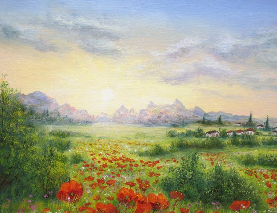Sunrise on the poppy field