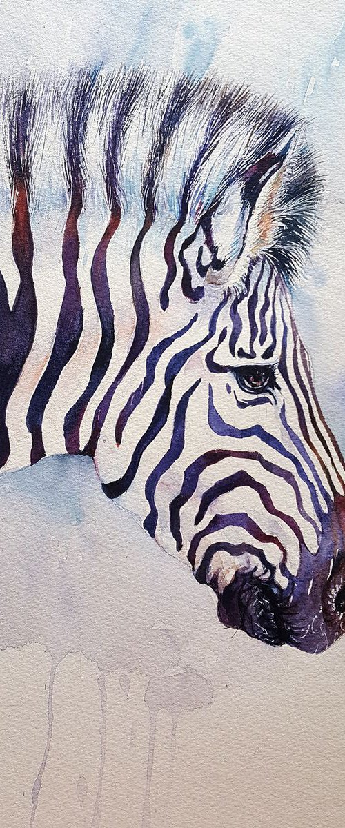 Zorrie_Zebra by Arti Chauhan