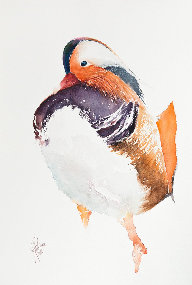 Illustrative Animal Watercolour By Andrzej Rabiega, 11 X 16, Mandarin Duck, Original Artwork