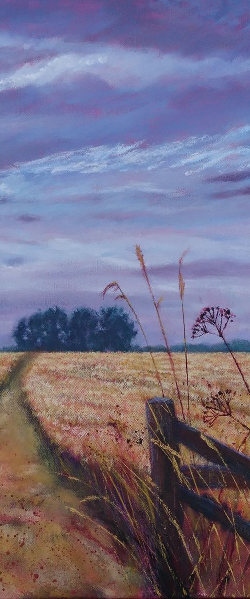 Path Through the Field by Michele Wallington
