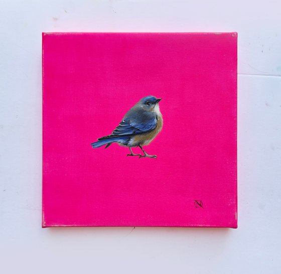 Bluebird Happiness