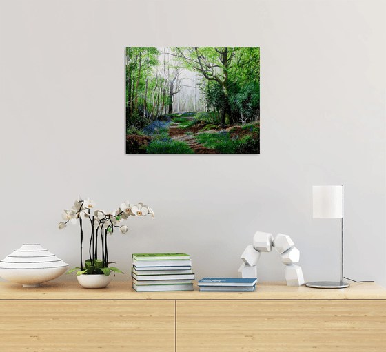 Forest Ways and Bluebell Days