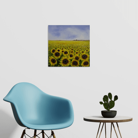"Peace" Sunflowers