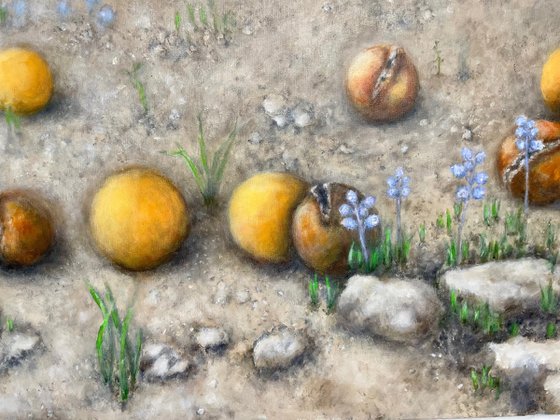 Beneath the orange tree