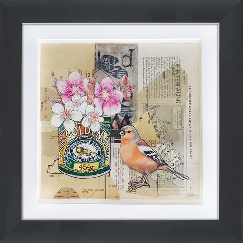 Sweet blossom chaffinch by Carolynne Coulson