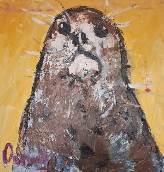 Irish Seal
