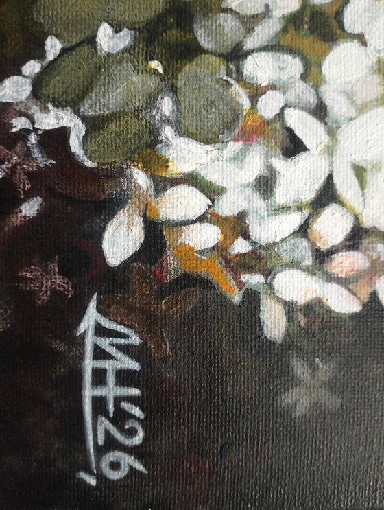White scattering