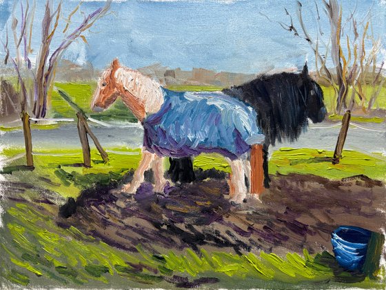 Grazing Horses in the Dutch Countryside