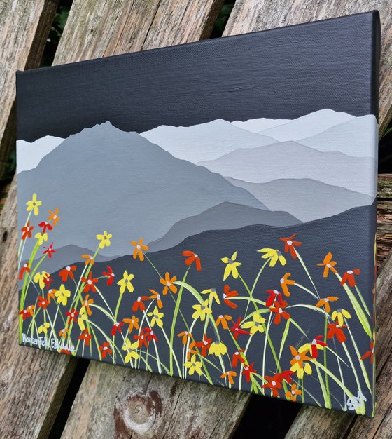 Harter Fell, Eskdale, The Lake District