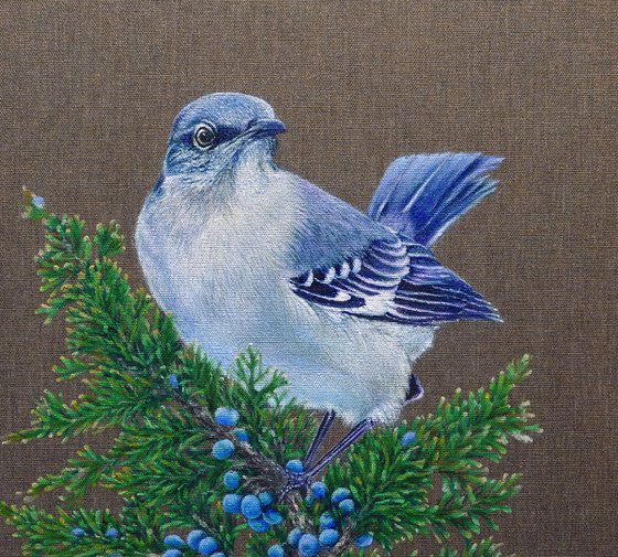 Juniper Watcher