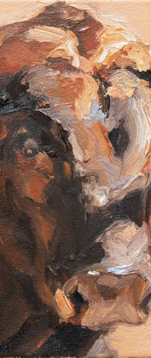 Cuernos Negros 1 by Zil Hoque