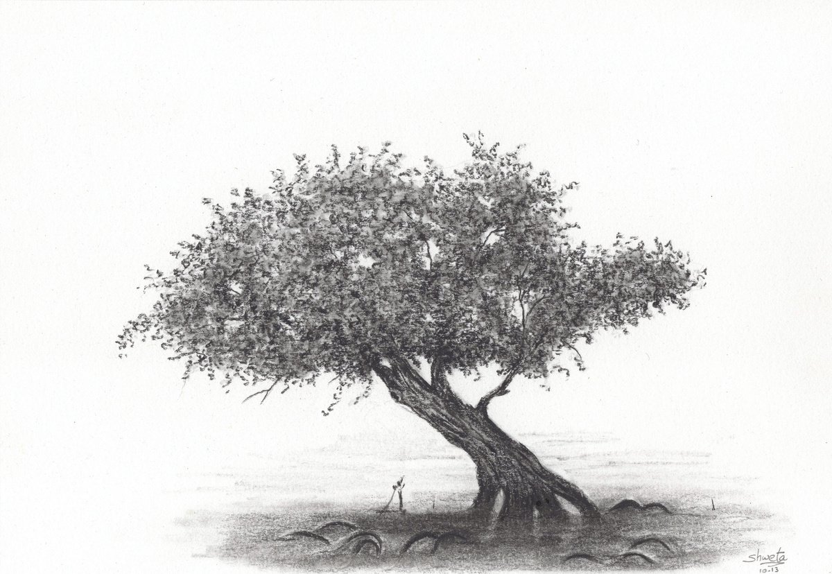 Mangrove Tree Drawing by Shweta Mahajan