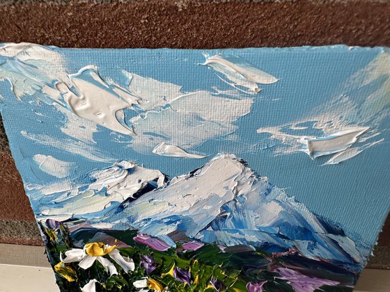 Daisies in the mountains